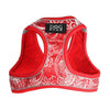 Barker's Bowtique Harnesses EZ Reflective Royal Elegance Harness Dog Vest