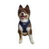 Barker's Bowtique Harnesses Ultra Comfort Harness Black HD Crown