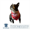 Barker's Bowtique Bandanas XS Happy Holidays Pet Bandana