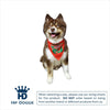 Barker's Bowtique Bandanas XS Happy Holidays Pet Bandana