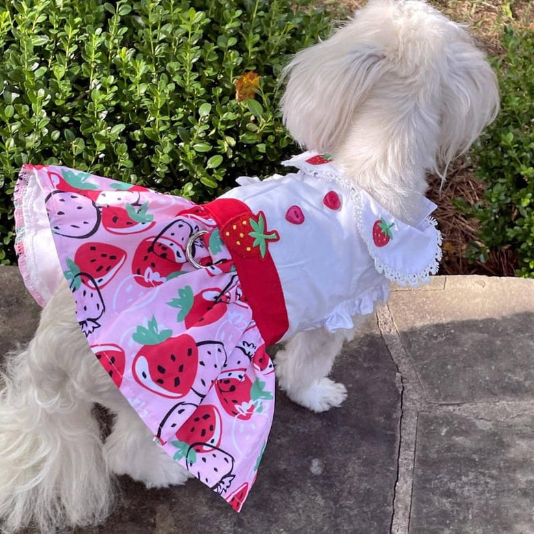 Doggie Design Dog Apparel Strawberry Picnic Dog Harness Dress with Matching Leash