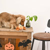 Hugsmart Products Inc dog toys Howloween Night Brown Spider Ball Dog Toy