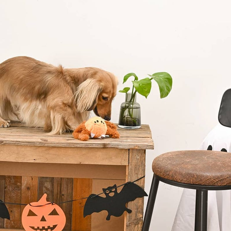Hugsmart Products Inc dog toys Howloween Night Brown Spider Ball Dog Toy