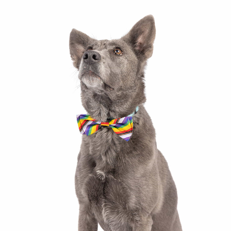 Huxley & Kent Huxley & Kent - All Together Bow Tie: Small