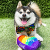 Huxley & Kent Bow Tie Rainbow Unity Pet Bow Tie - 3 Sizes