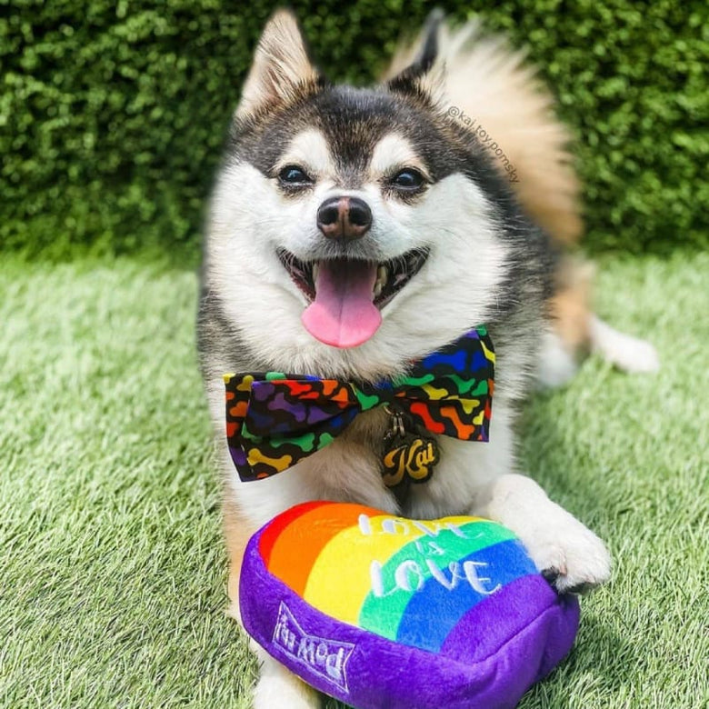 Huxley & Kent Bow Tie Rainbow Unity Pet Bow Tie - 3 Sizes