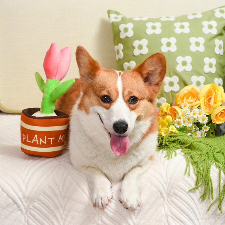 Puppy Garden Tulip 2 in 1 Plush Squeaky Dog Toy Set