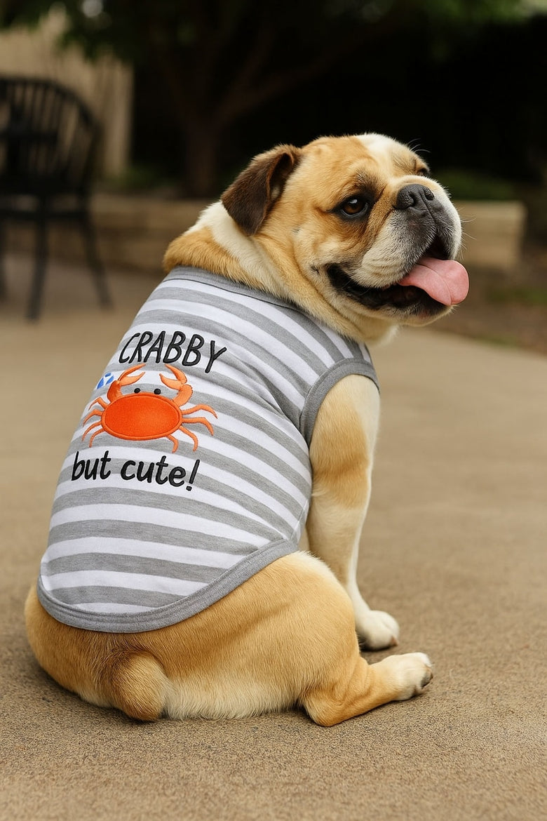 Crabby But Cute Grey Striped Embroidered Summer Dog Tee