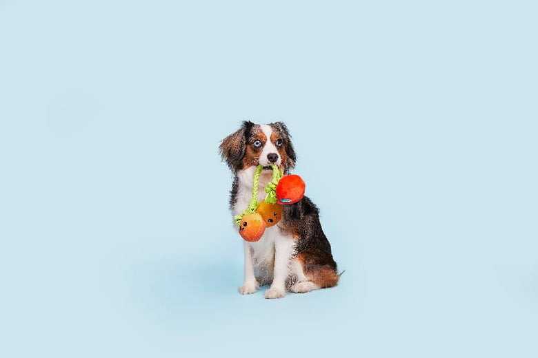 BARK dog toys Hairloom Tomatoes Plush Squeak Rope Tug Dog Toy