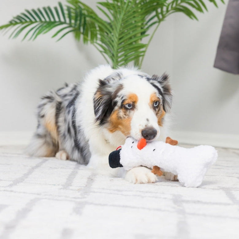 Snowman Bone Winter Christmas Holiday Plush Squeaky Dog Toy