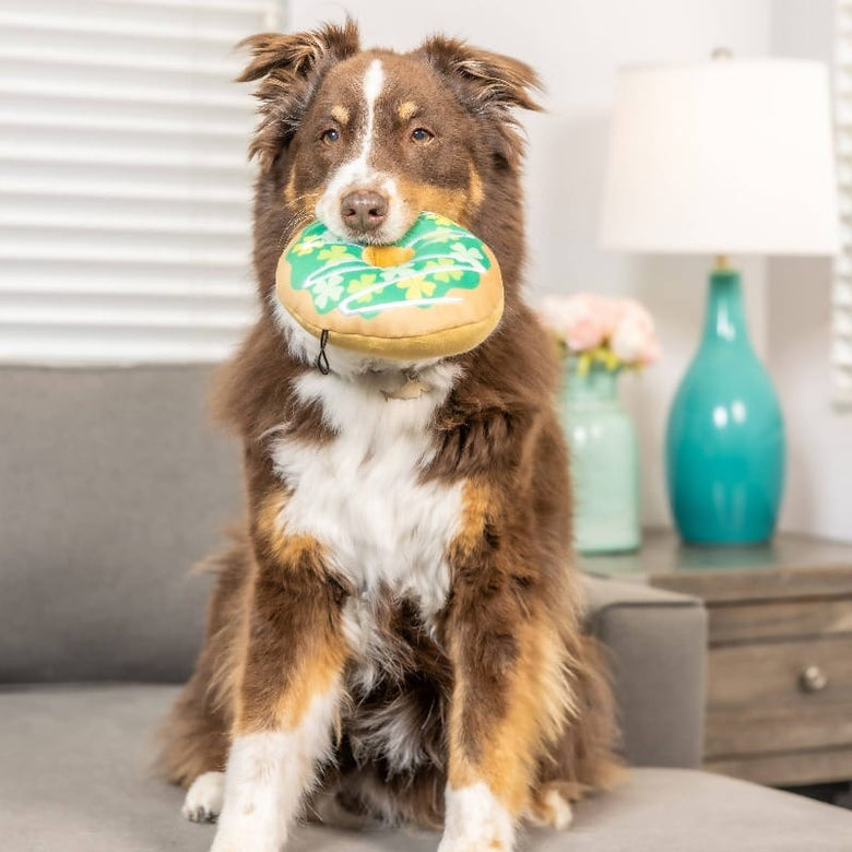 Huxley & Kent Toys Shamrock Donut Dog Toy
