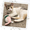 Meowijuana Cat Toys Meowijuana Get Wrapped Sushi Roll Cat Toy