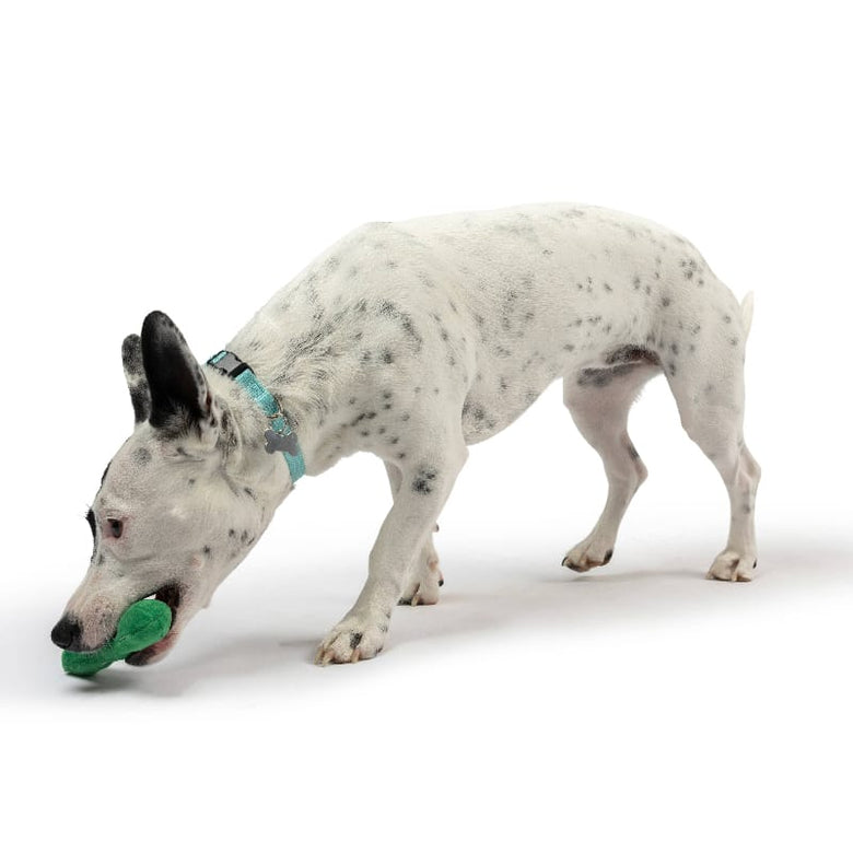 Huxley & Kent Dog Toys Tiny Tuff Green Dell Pickle Plush Squeak Dog Toy