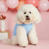 TM - PET PLUS LTD dog apparel Gnomes Love Heart Print Light Jersey Blue Pet Tee