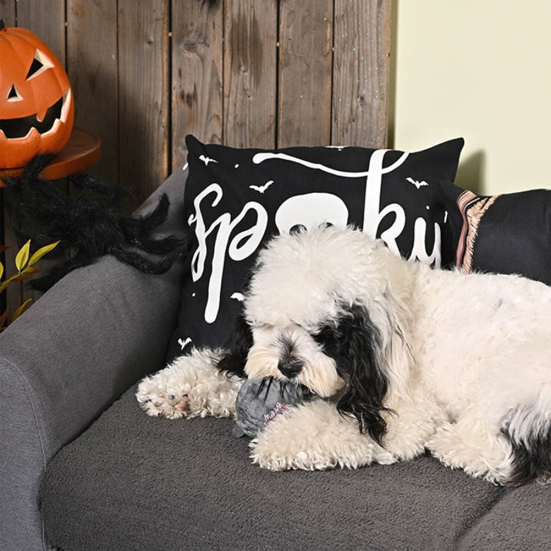 Howloween Night Witches Brew Ball Squeaky Dog Toy