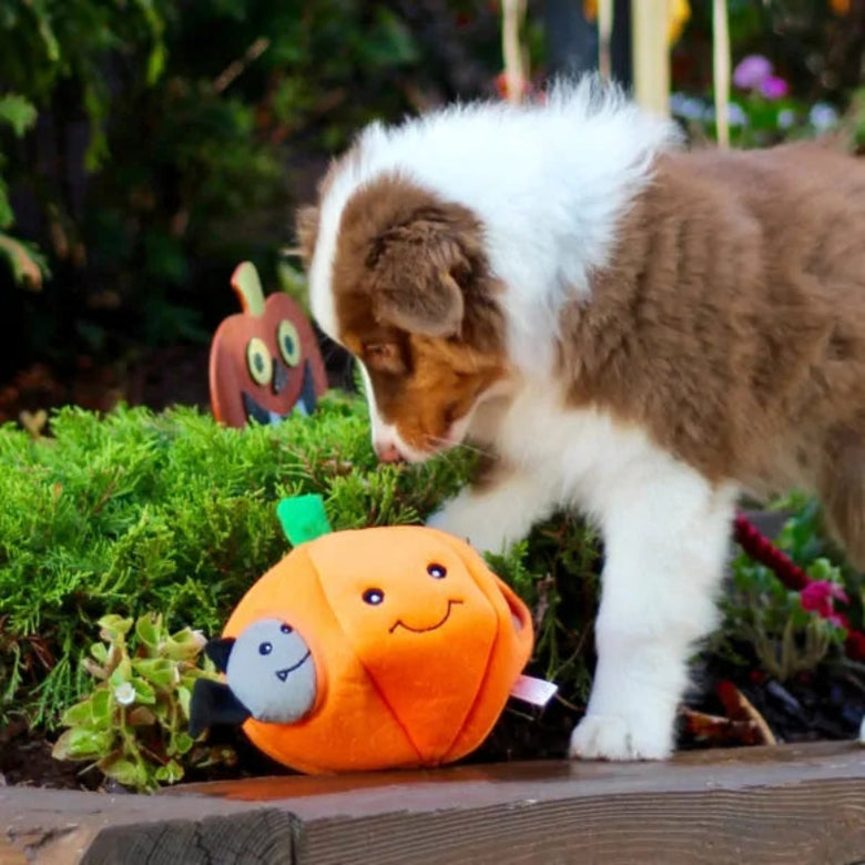 Halloween Burrow Pumpkin & Bats Interactive Plush Squeaky Dog Toy Set - 4 Pc