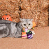 Hugsmart Products Inc dog toys Spooky Cats Witch's Brew Cat Toy Set - 3 Pc