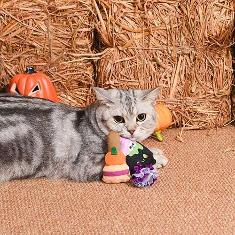 Hugsmart Products Inc dog toys Spooky Cats Witch's Brew Cat Toy Set - 3 Pc