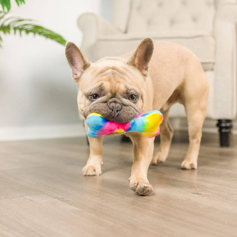 Huxley & Kent dog toys Tiny Tuff Out For Brunch Chompagne and Bone Plush Dog Toys - 2pk