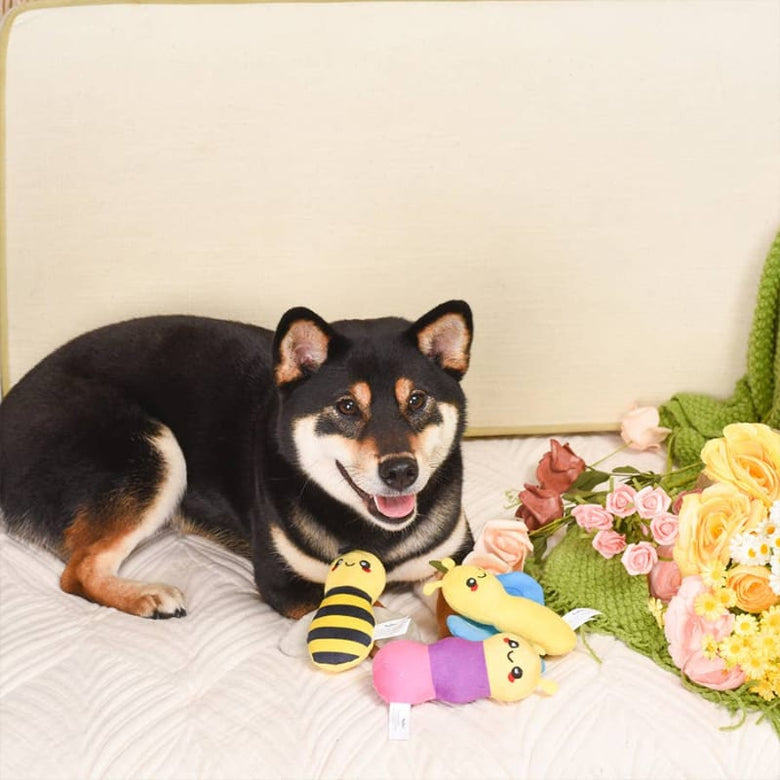 Hugsmart Products Inc Dog Toys Puppy Garden Little Insects Spring Plush Squeak Dog Toy Set - 3 pc
