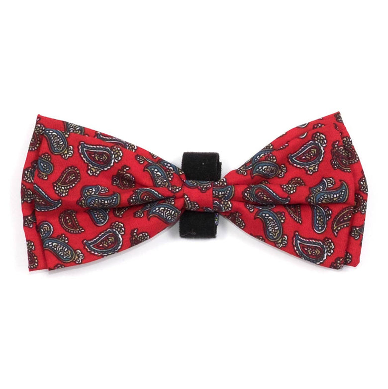 Paisley Red Bow Tie Pet Collar Attachment - Size Large