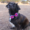 Huxley & Kent Bow Ties Convo Hearts Bow Tie Pet Collar Attachment - 3 Sizes
