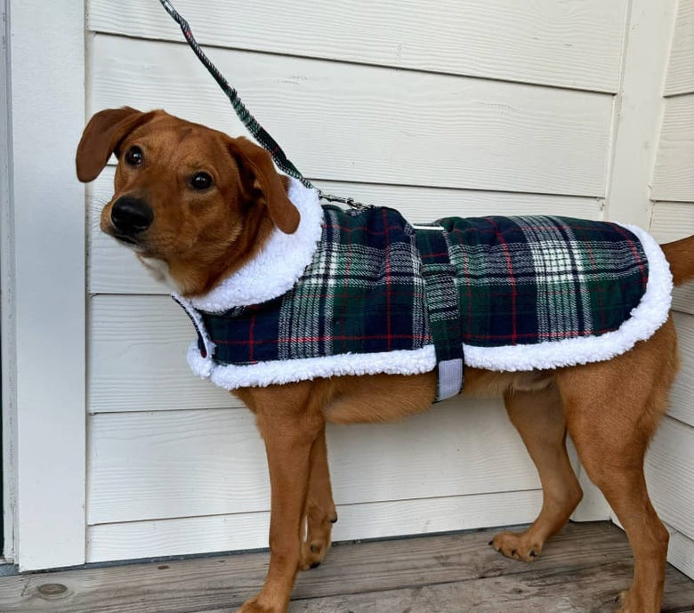 Doggie Design Jackets Sherpa Lined Dog Harness Coat Blue & Green Plaid with Matching Leash