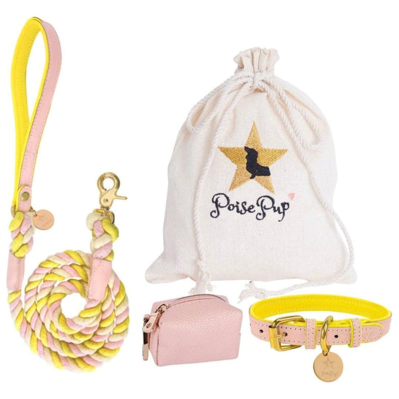 PoisePup Collars Luxury Leather Dog Collar Sweetest Thing (Pink / Yellow)