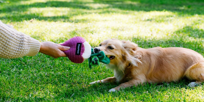 Radish Crinkle Crops Leafy Plush Squeaky Crinkle Dog Toy