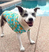 Doggie Design Collared Shirts Hawaiian Pineapple Luau Camp Dog Shirt
