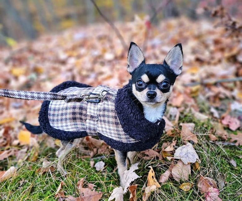 Doggie Design Jackets Sherpa Lined Dog Harness Coat Brown & White Plaid with Matching Leash