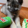 Huxley & Kent dog toys Mountain Poo Plush Squeak Dog Toy