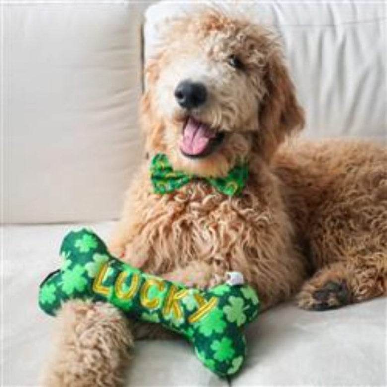 Huxley & Kent Bow Ties Lucky Charm Green Bow Tie - 3 Sizes