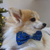 Huxley & Kent Bow Tie LG Hanukkah Menorah & Dots Holiday Pet Bow Tie