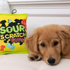 Huxley & Kent dog toys Sour Scratch Pups Plush Dog Toy - 2 Sizes