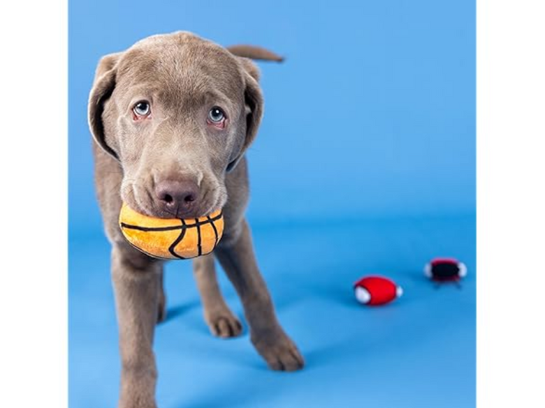 Basket-pawler Sports Fun Basketball Plush Squeaky Dog Toy Set - 3 Pc