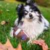 Huxley & Kent dog toys Football Plush Squeak Dog Toy - 2 Sizes