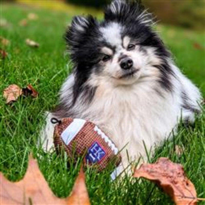 Huxley & Kent dog toys Football Plush Squeak Dog Toy - 2 Sizes