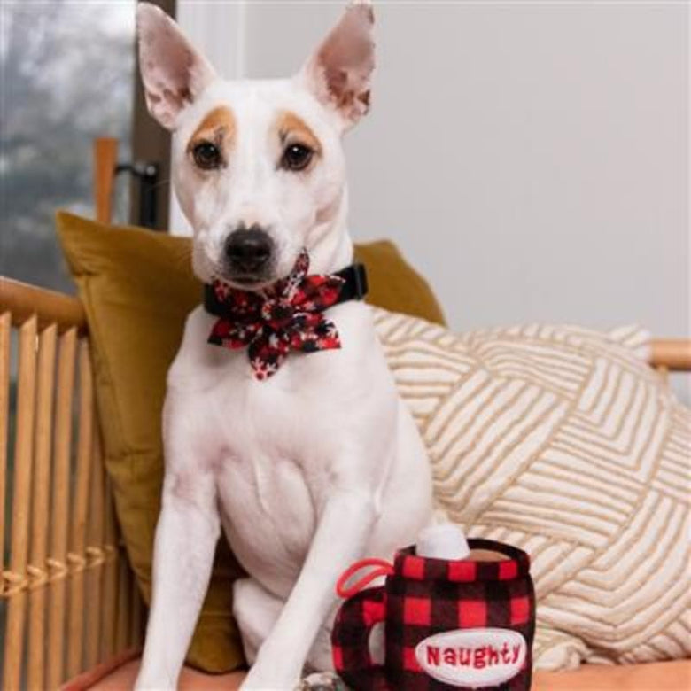Huxley & Kent Bow Tie Red Buffalo & Snow Pinwheel Holiday Pet Collar Attachment - 2 Sizes
