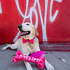 Huxley & Kent Bow Ties My Puppy Love Red Hearts Pink Bow Tie Pet Collar Attachment - 3 Sizes