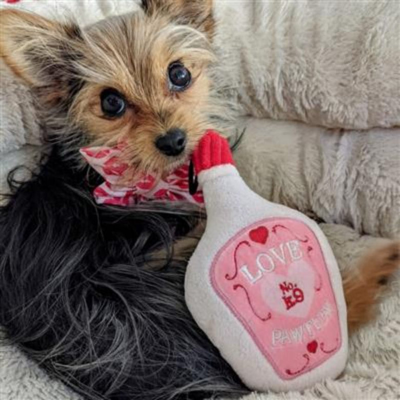 Huxley & Kent dog toys Love Pawtion #K9 Bottle Plush Squeak Dog Toy - 2 Sizes
