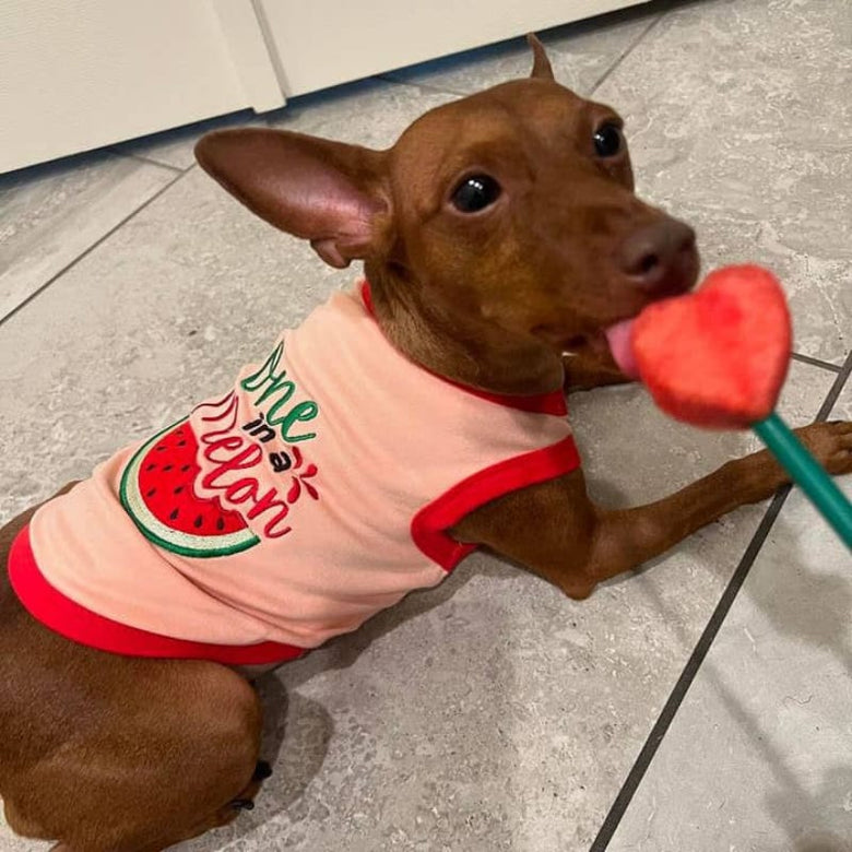 Parisian Pet® Tee's One in a Melon Pink Dog T-Shirt