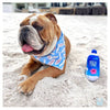 PAWTY Dog Toys dog toys Furji Water Plush Squeak Dog Toy