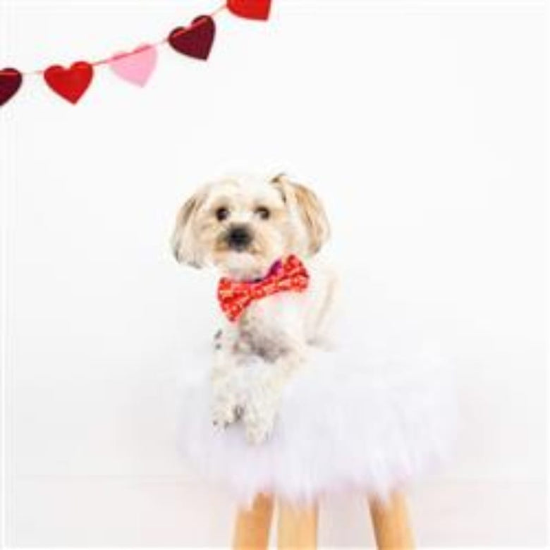 Pearhead, Inc. Bow Ties Valentine's Woof You Red Bowtie Pet Collar Attachment - Size XS/S