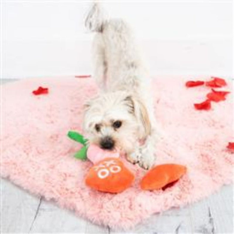 Pearhead, Inc. dog toys Yappy Valentine's Plush Squeaky Dog Toy Set - 3 Pk