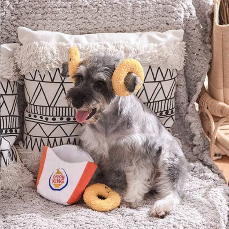 Hugsmart Products Inc dog toys Party Onion King Interactive Plush Pet Toy Set - 4 Pc