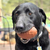 SodaPup dog toys Football Brown Rubber Durable Treat Chew Dog Toy - Lg