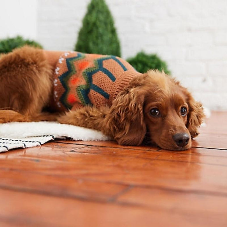 GF Pet Dog Apparel Heritage Hazel Dog Sweater