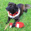 Huxley & Kent Collars Buffalo Check Holiday Red Ruff with Jingle Bells for Pets