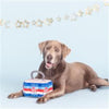 Pet Shop by Fringe Studio dog toys Star Spangled Plush Dog Toy